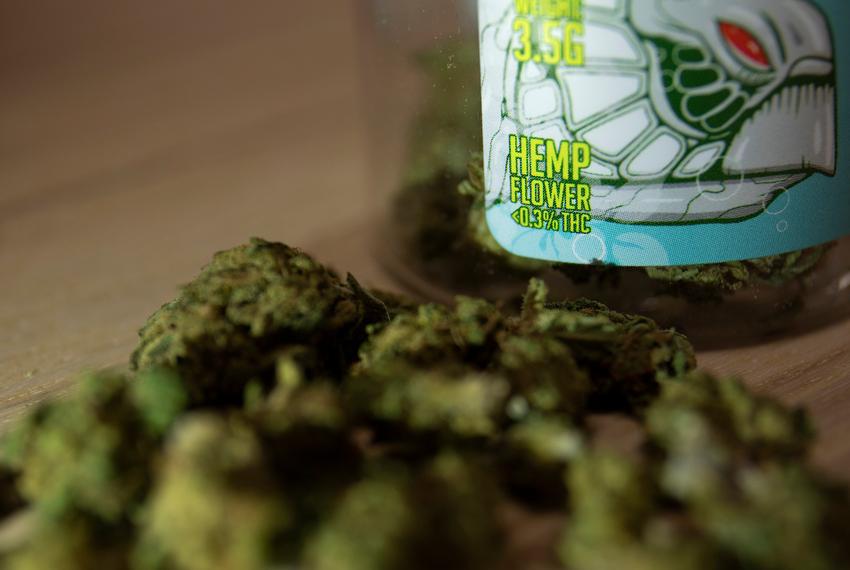 A container of dried hemp plant with leaves and stems on Jan. 23, 2020.